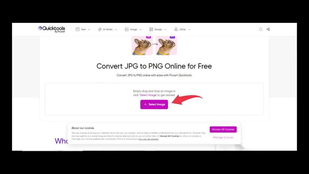 How to Convert JPG files to PNG, SVG, PDF Step by Step guide 2