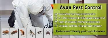 Exterminator Vancouver Services: Reliable Pest Control Solutions 1 image 80