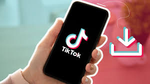 Top 10 TikTok Downloader Tools to Save Videos Without Watermark 1 image 150