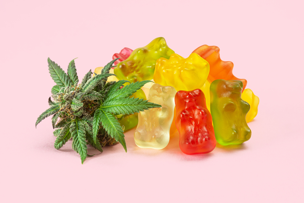 Elevate Your Experience: The Benefits of Shopping at Established Online Dispensaries 1 image 6